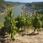 Blick auf Oberwesel II