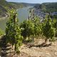 Blick auf Oberwesel II