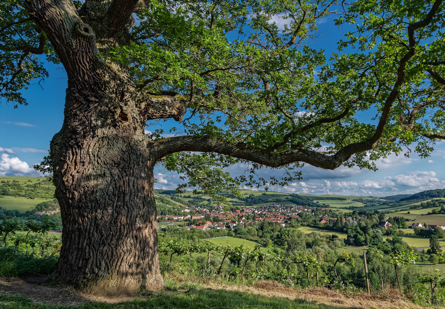 Blick auf Odernheim am Glan