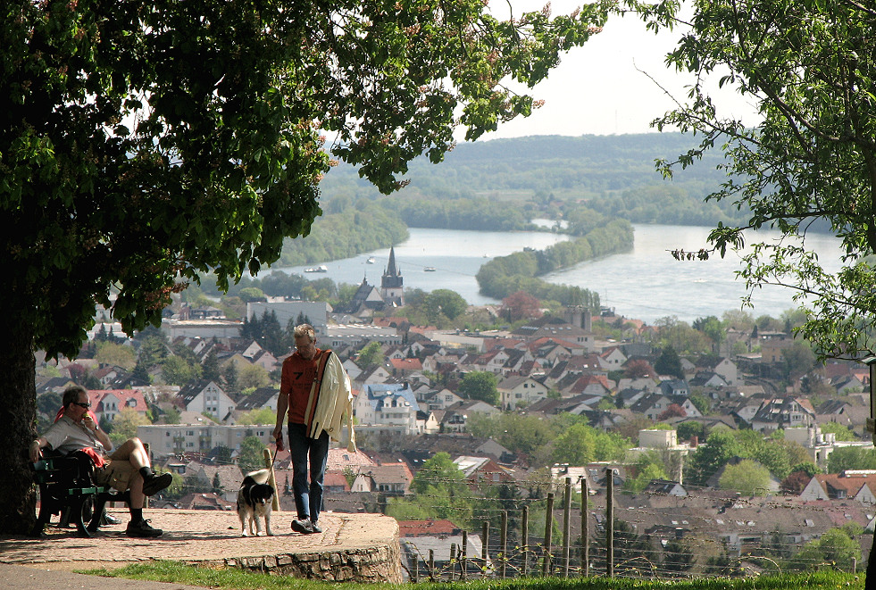 Blick auf Oestrich-Winkel