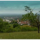 Blick auf Ötlingen nahe Weil am Rhein