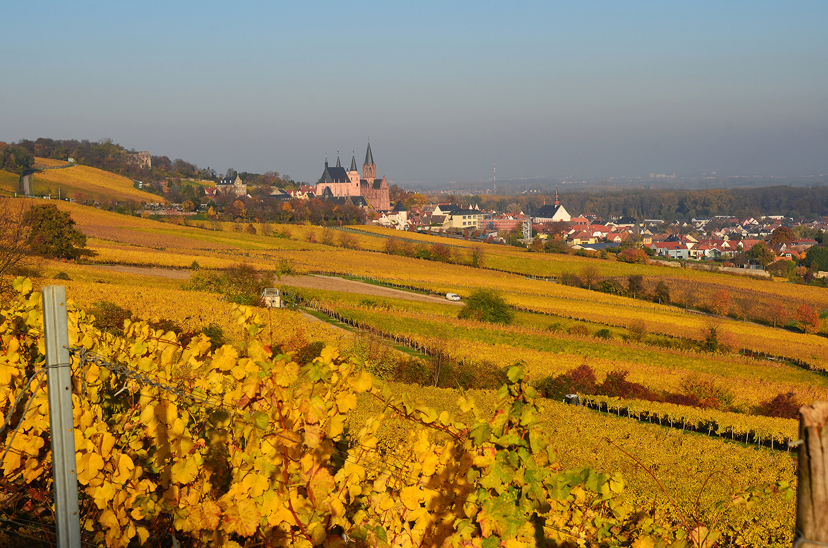 Blick auf Oppenheim