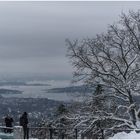 Blick auf Oslo