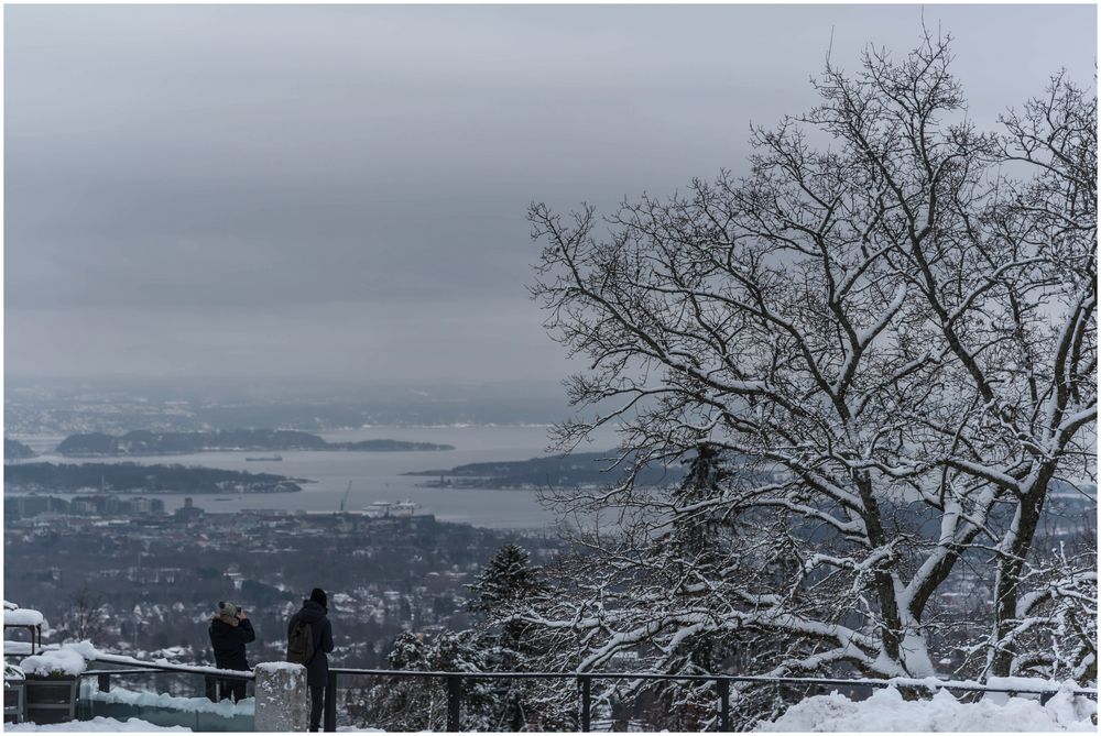 Blick auf Oslo