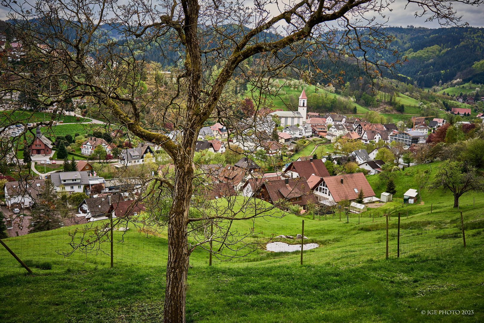 Blick auf Ottenhöfen vom Köningerhof aus