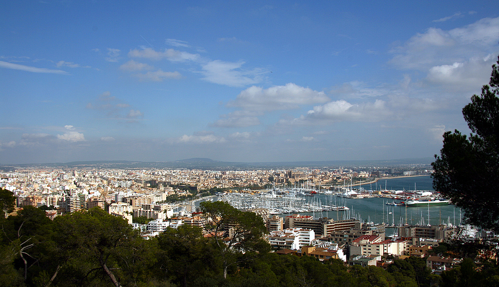 Blick auf Palma