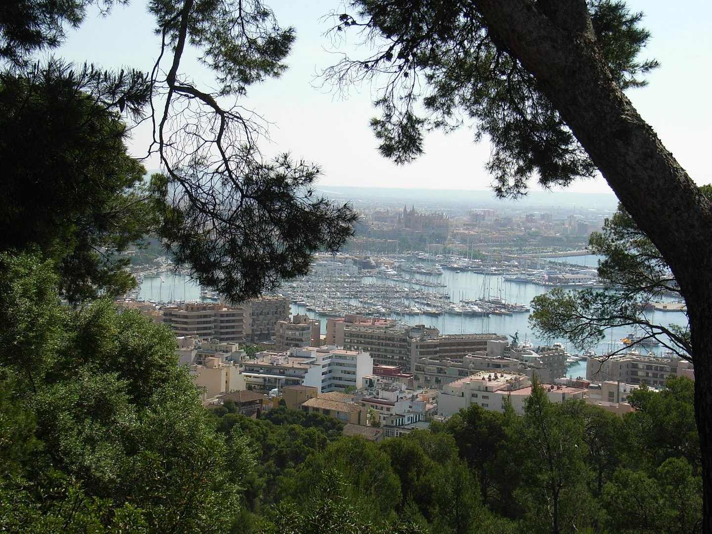 Blick auf Palma