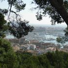 Blick auf Palma