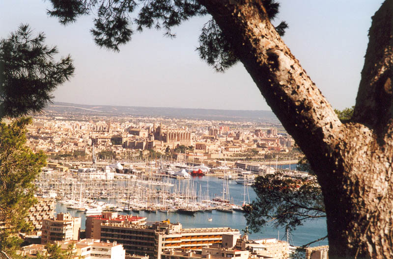 Blick auf Palma de Mallorca