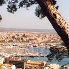 Blick auf Palma de Mallorca