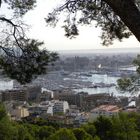 Blick auf Palma vom Schloss Bellver