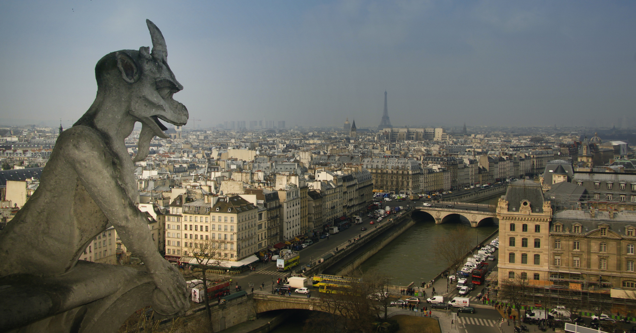 Blick auf Paris von Notre Dame aus