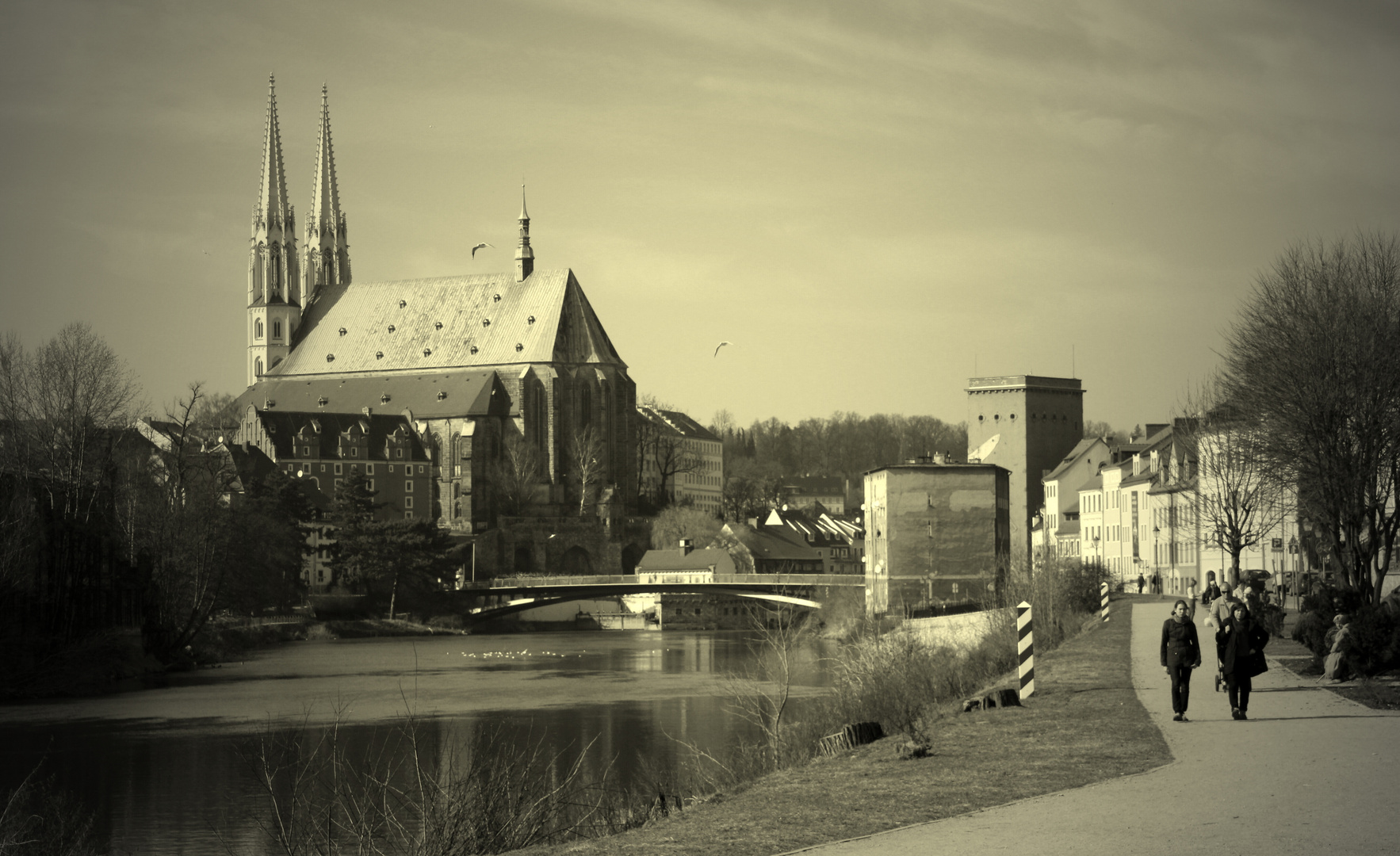 Blick auf Peterskirche