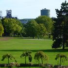 Blick auf Phoenix West vom Westfalenpark