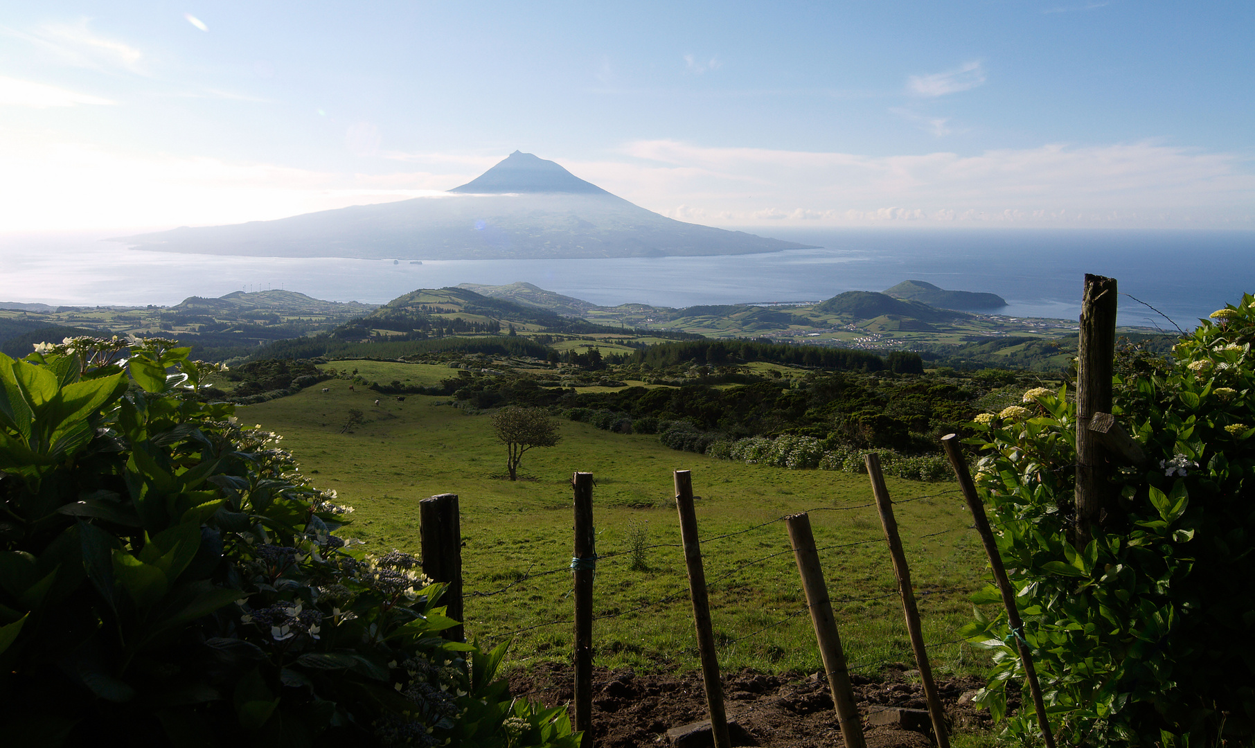 Blick auf Pico