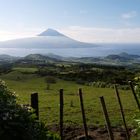 Blick auf Pico