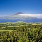 Blick auf Pico