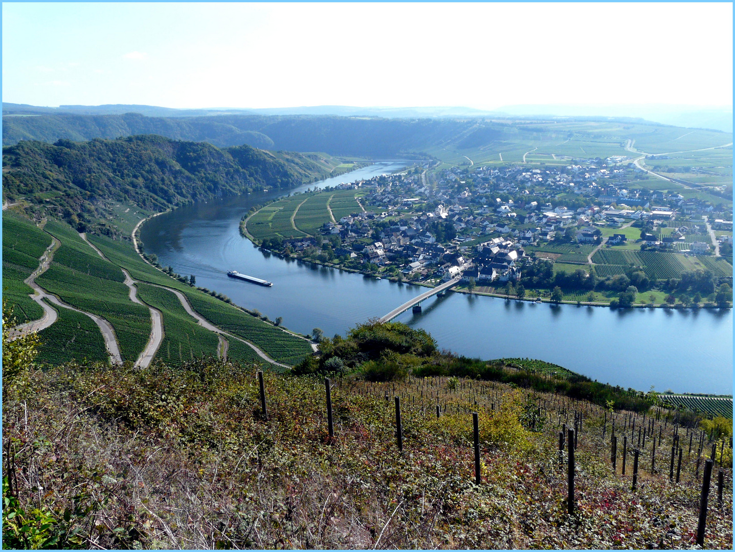 Blick auf Piesport