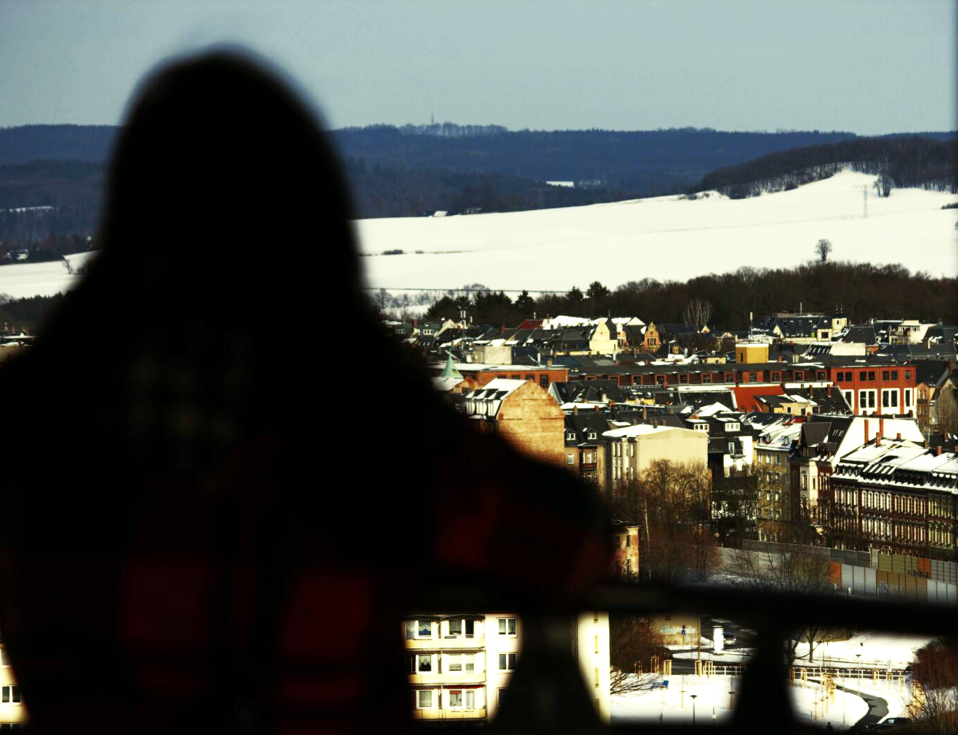 Blick auf Plauen