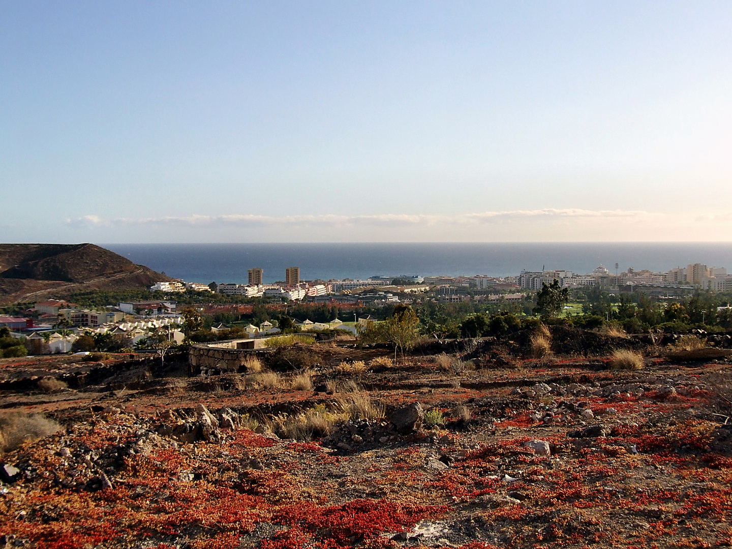 Blick auf Playa de las Américas