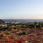 Blick auf Playa de las Américas