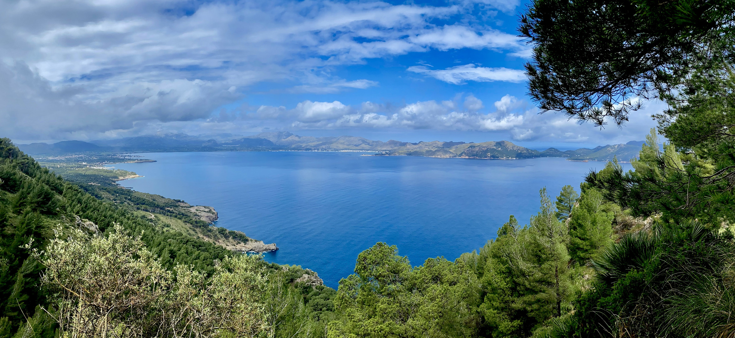 Blick auf Port de Pollenca 