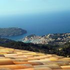 Blick auf Port de Soller - Mallorca