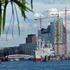 Blick auf Prachtbau Elbphilharmonie