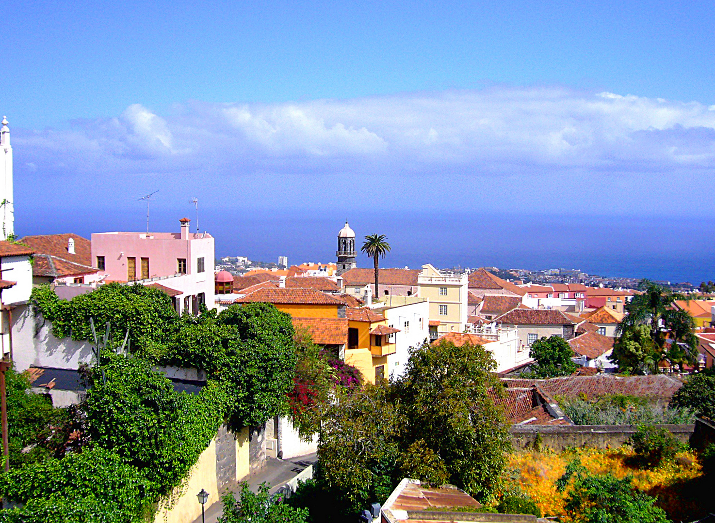 Blick auf Puerto de la Cruz