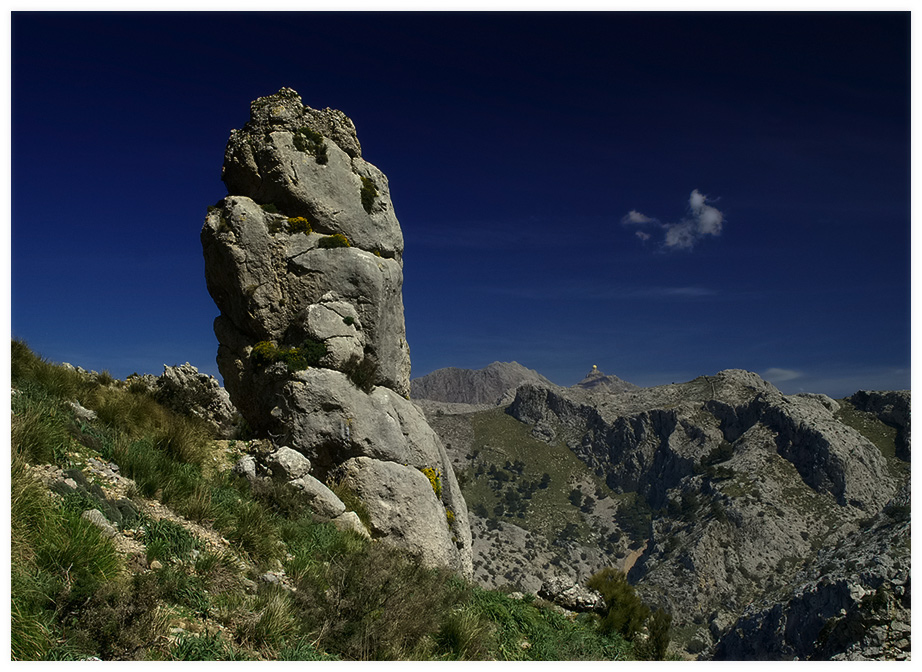 Blick auf Puig Major