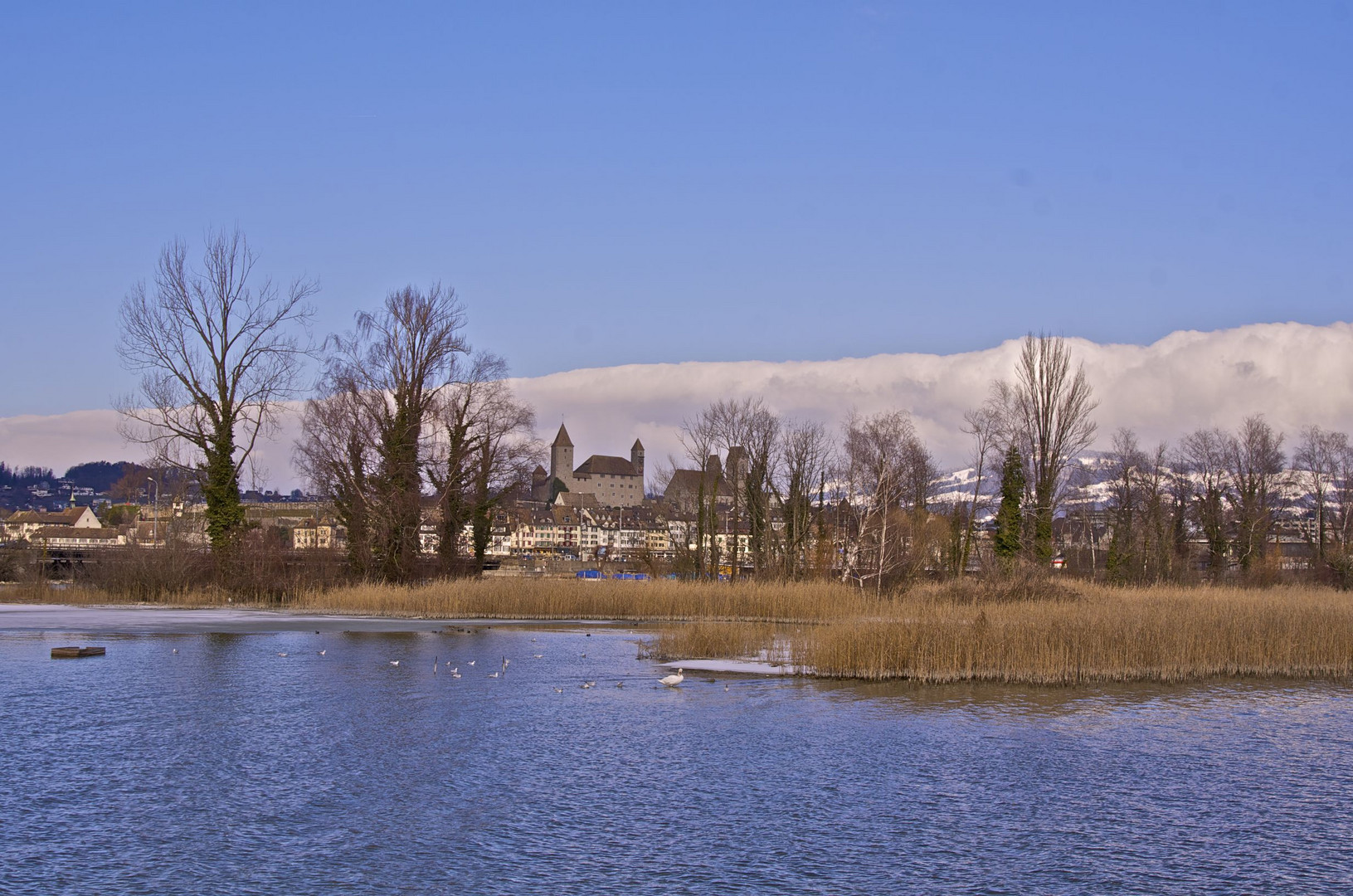 Blick auf Rapperswil