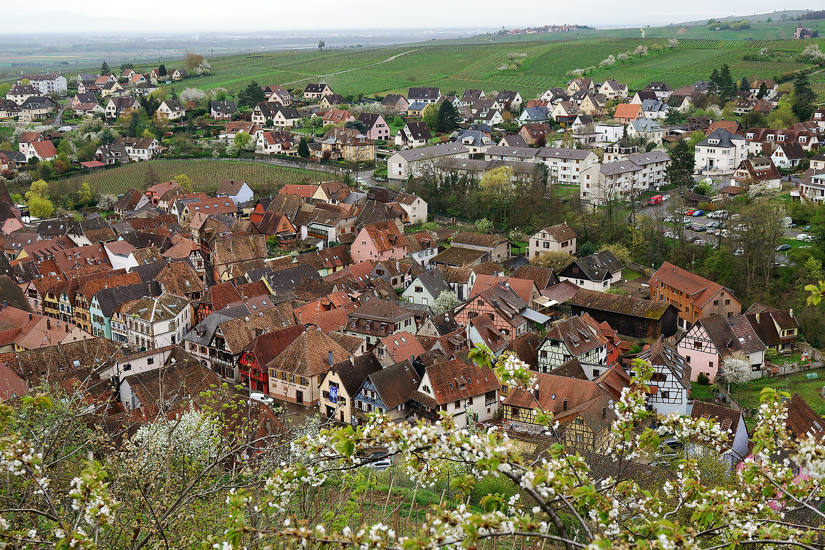 Blick auf Rappoldsweiler