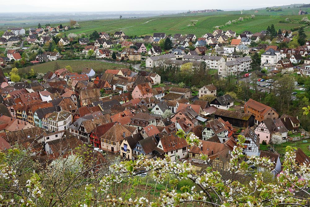 Blick auf Rappoldsweiler