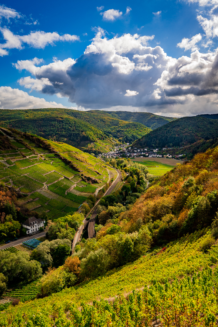 Blick auf Rech