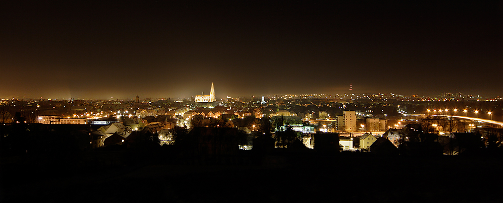 Blick auf Regensburg