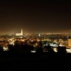 Blick auf Regensburg