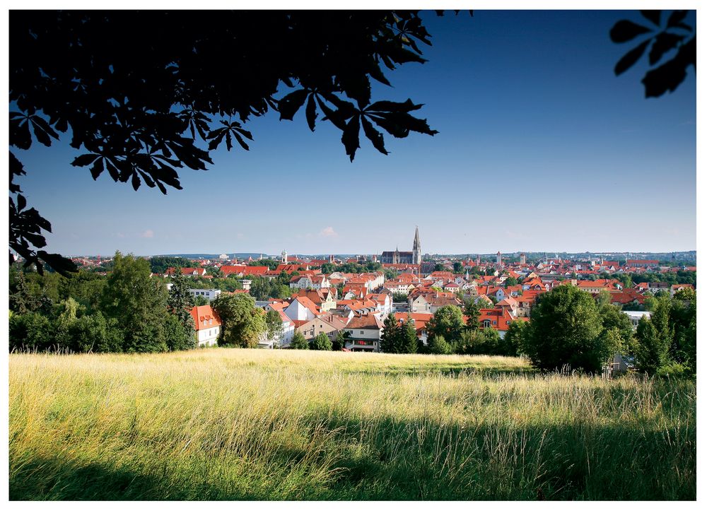 Blick auf Regensburg