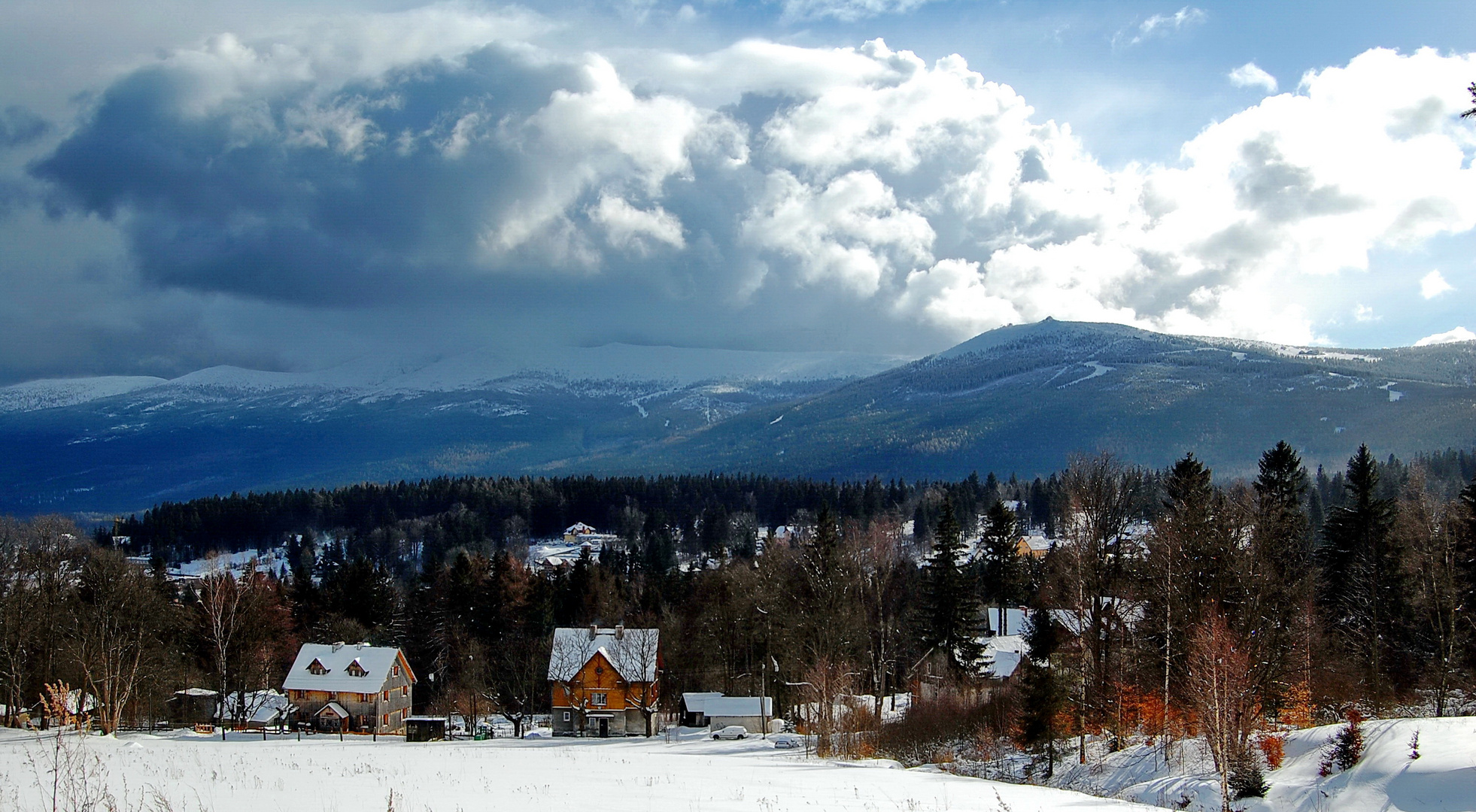 Blick auf Reiftraeger