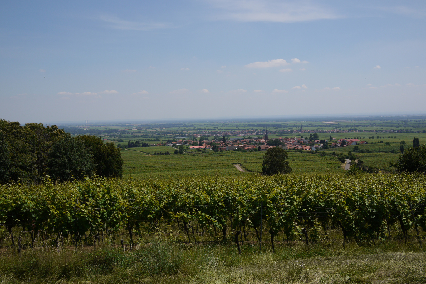 Blick auf Rhodt unter Rietburg