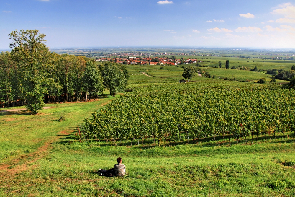 Blick auf Rodt (1)