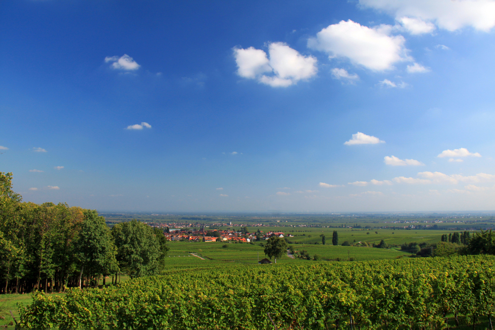 Blick auf Rodt (2)