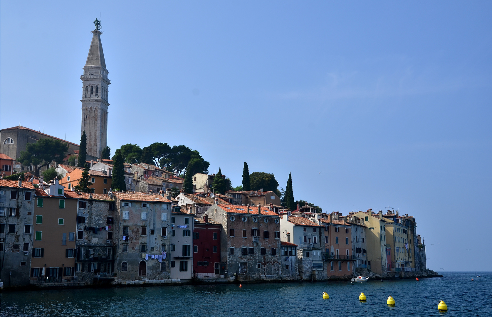 Blick auf Rovinj