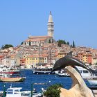 Blick auf Rovinj von der Hafenseite