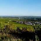 Blick auf Rüdesheim