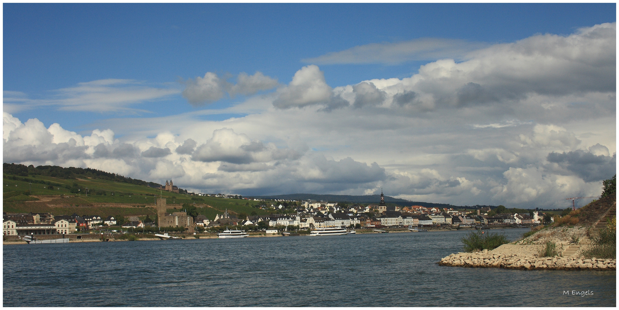 blick auf rüdesheim