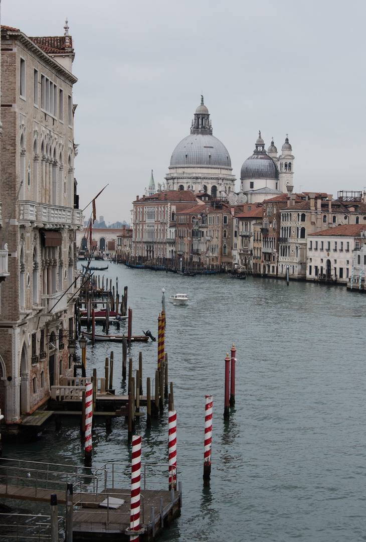 Blick auf S. Maria della Salute