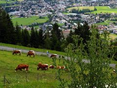 Blick auf Saalfelden