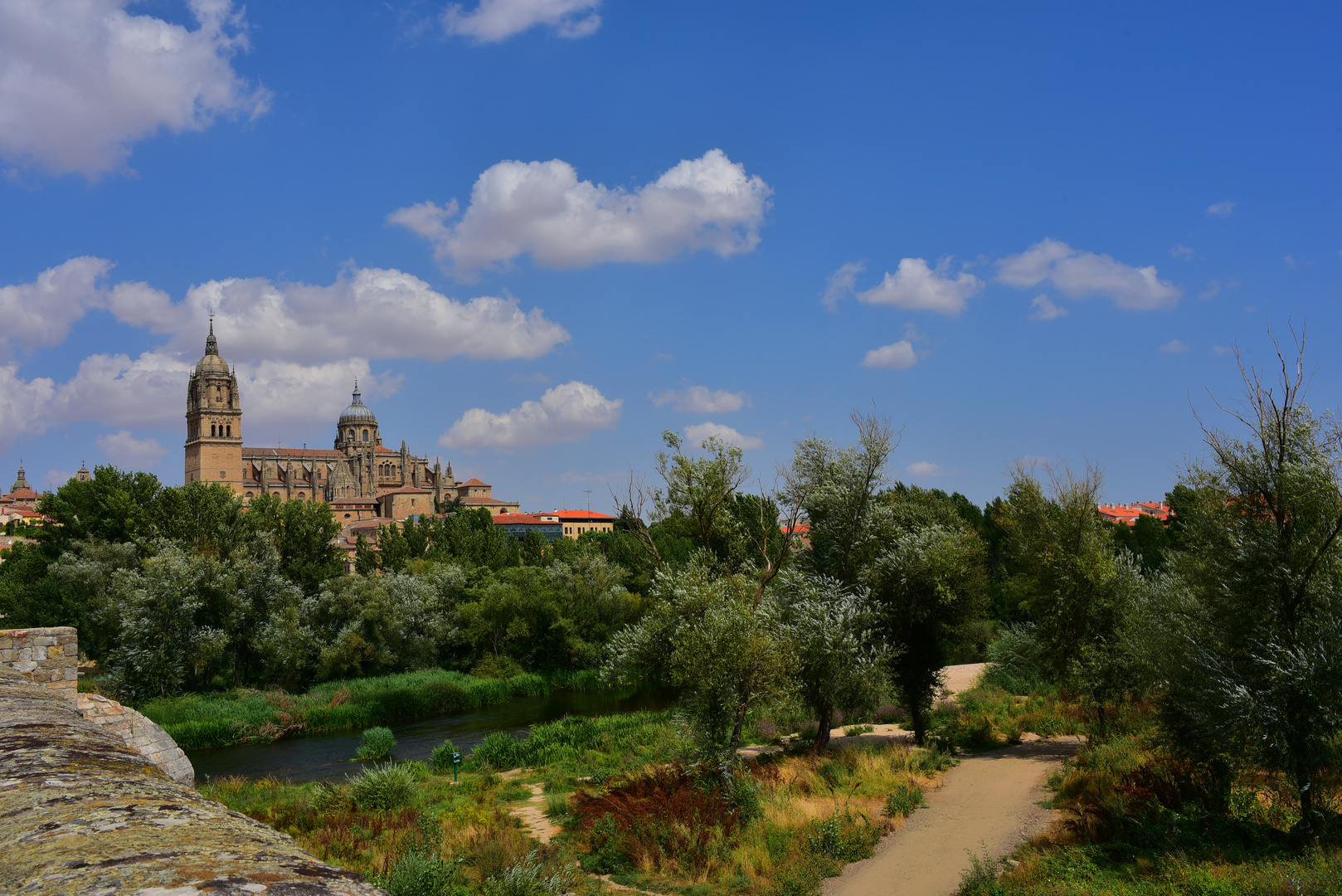 Blick auf Salamanca