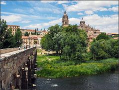 Blick auf Salamanca