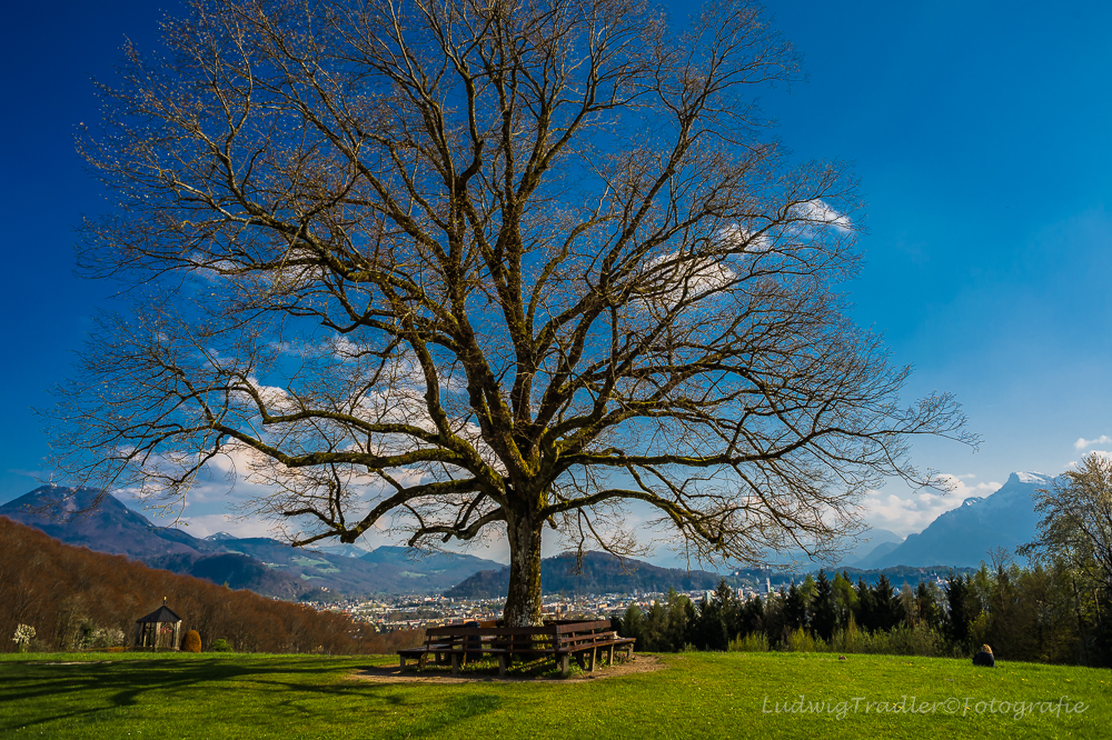 Blick auf Salzburg